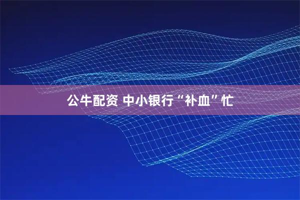 公牛配资 中小银行“补血”忙