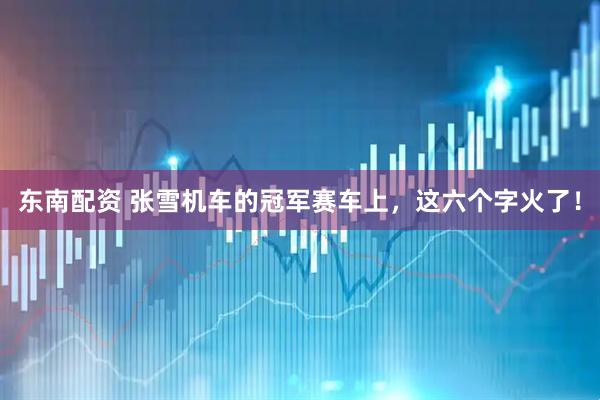东南配资 张雪机车的冠军赛车上，这六个字火了！